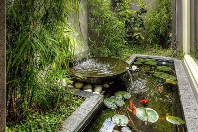 Waterr Gardens -  Landscape design and landscape construction project