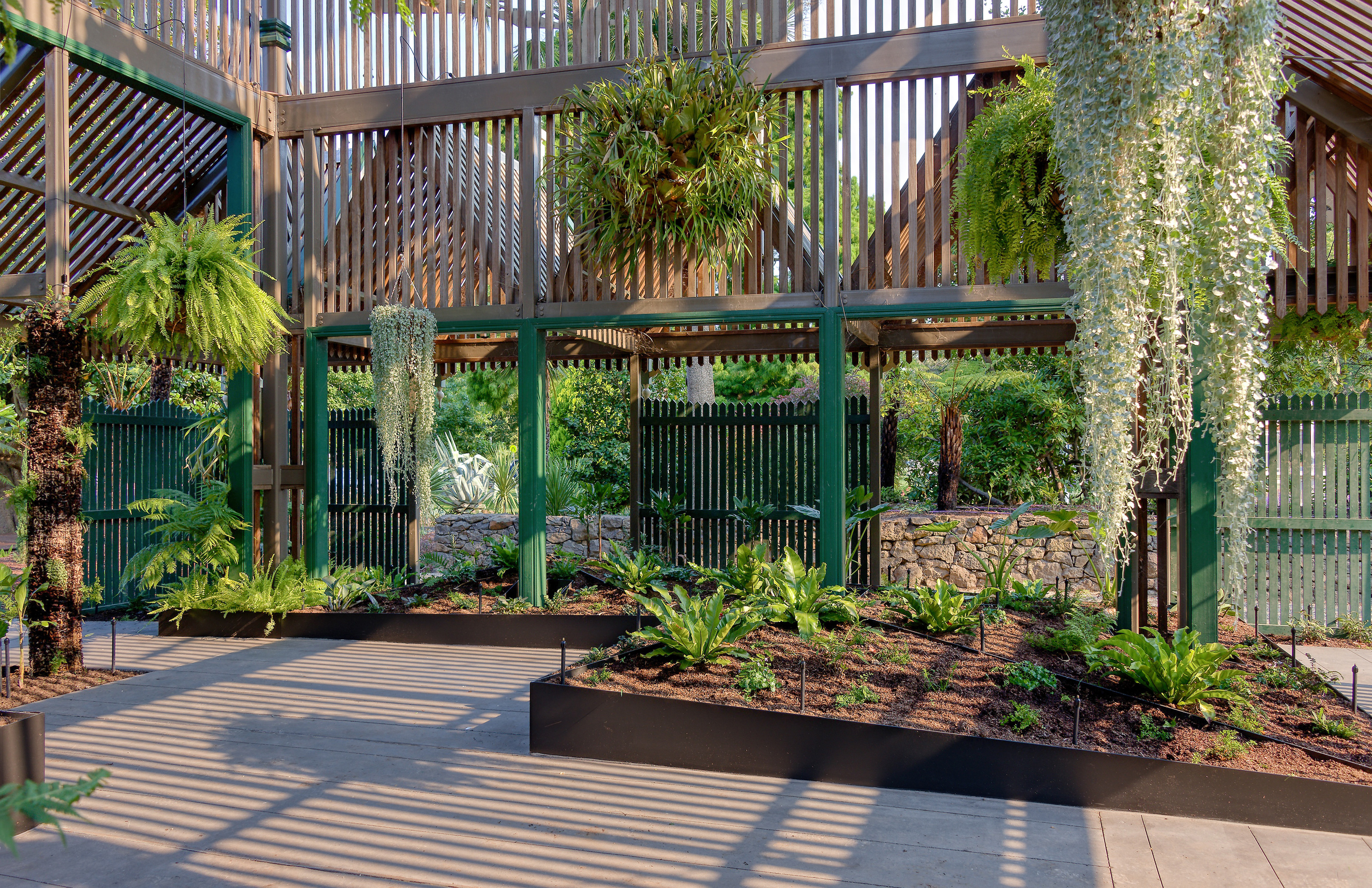 Ballarat Botanical Gardens Fernery