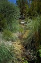 natural garden water way, dry river bed, seasonal river bed, garden design